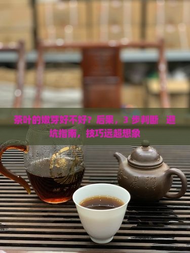 茶叶的嫩芽好不好