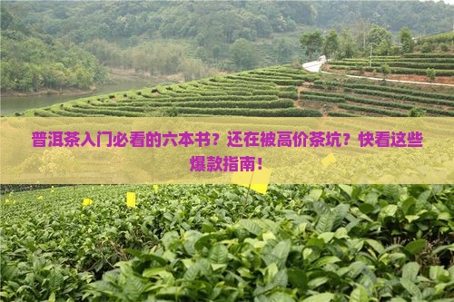 普洱茶入门必看的六本书