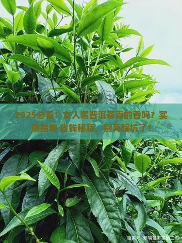 女人经常喝普洱茶好吗