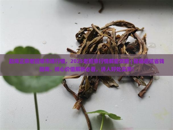 勐海正宗老班章市场行情