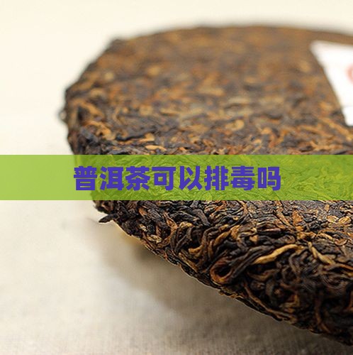 普洱茶可以排毒吗