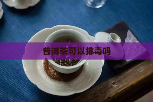 普洱茶可以排毒吗