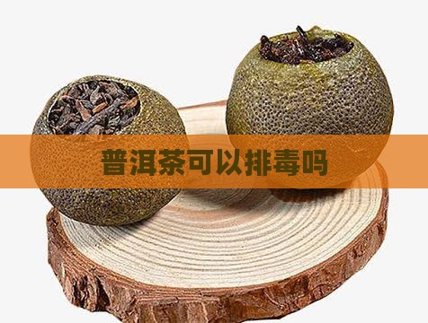 普洱茶可以排毒吗