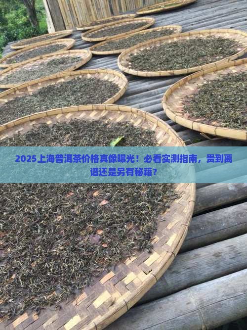 普洱茶上海最贵