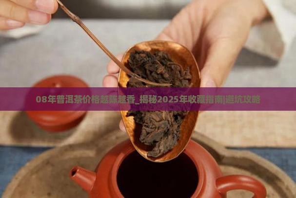 08年普洱茶价格越陈越香
