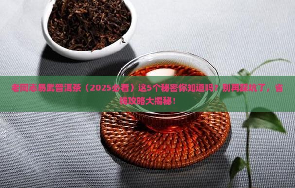 老同志易武普洱茶