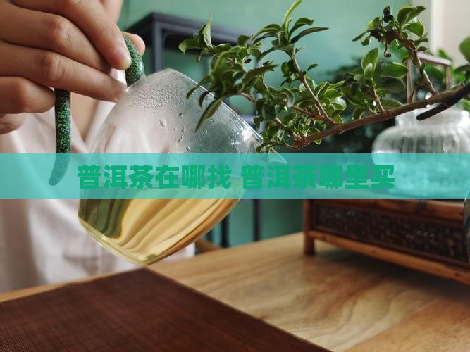 普洱茶在哪里找