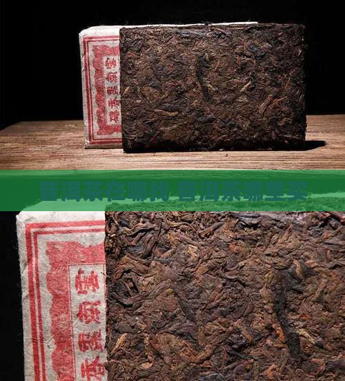 普洱茶在哪里找