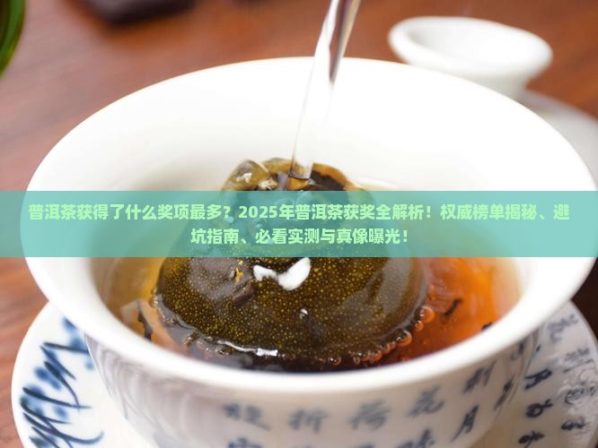 普洱茶获得了什么奖项最多