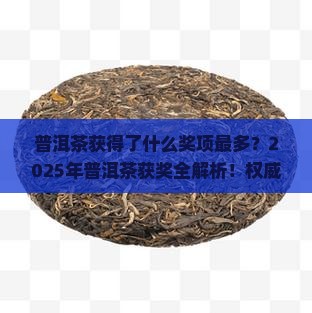 普洱茶获得了什么奖项最多
