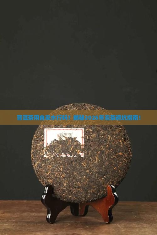 普洱茶用自来水行吗