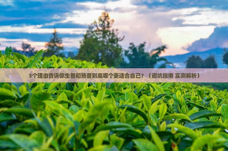 普洱茶生普和熟普哪个更好