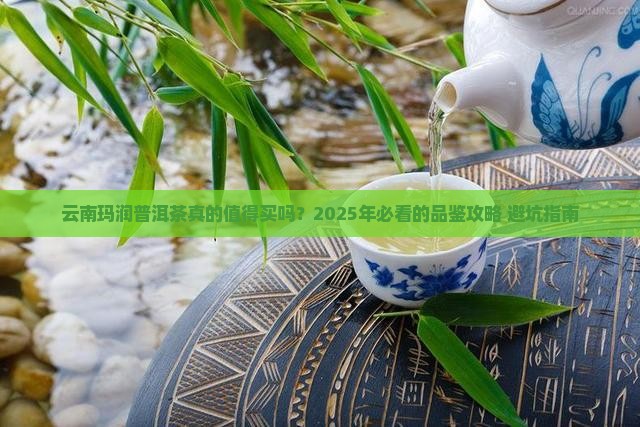 云南玛润普洱茶怎么样 云南玛润普洱茶怎么样