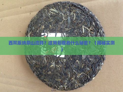西双版纳茶山流转
