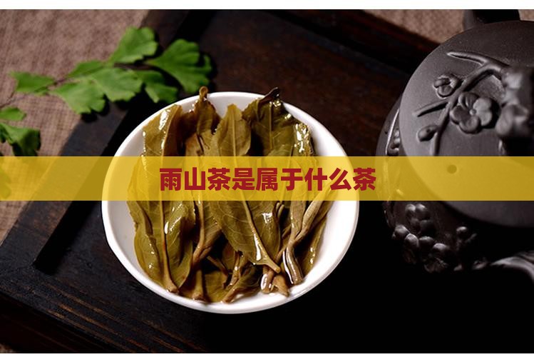 雨山茶是属于什么茶