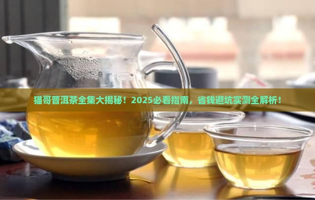 猫哥普洱茶全集