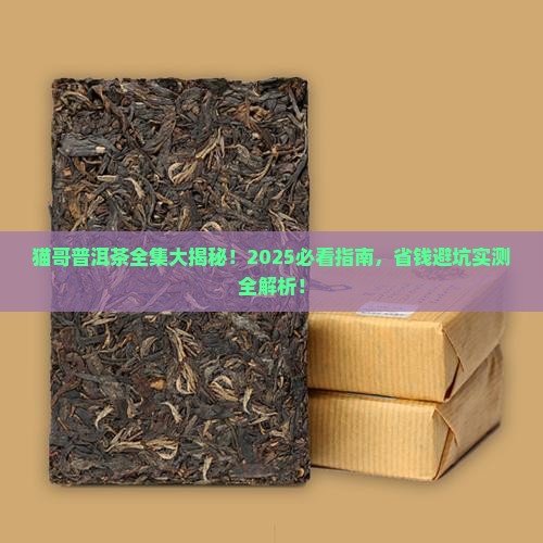 猫哥普洱茶全集