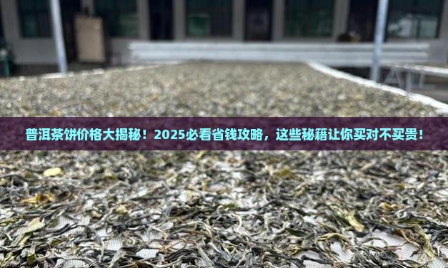 普洱茶饼卖多少钱一个