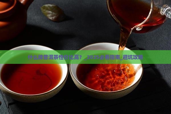 什么牌普洱茶性价比高