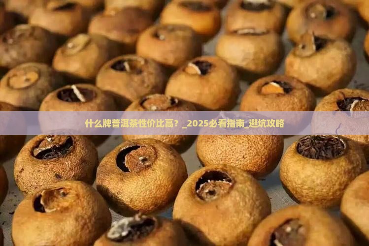 什么牌普洱茶性价比高
