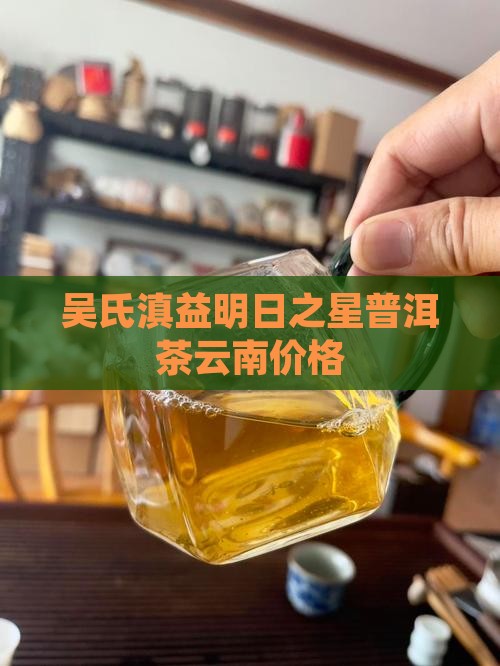 吴氏滇益明日之星普洱茶