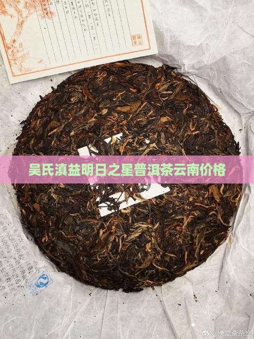 吴氏滇益明日之星普洱茶