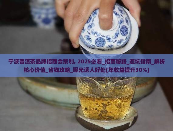 宁波普洱茶品牌招商会策划