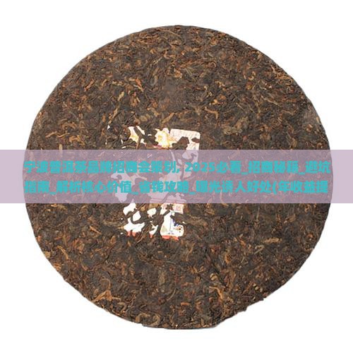 宁波普洱茶品牌招商会策划