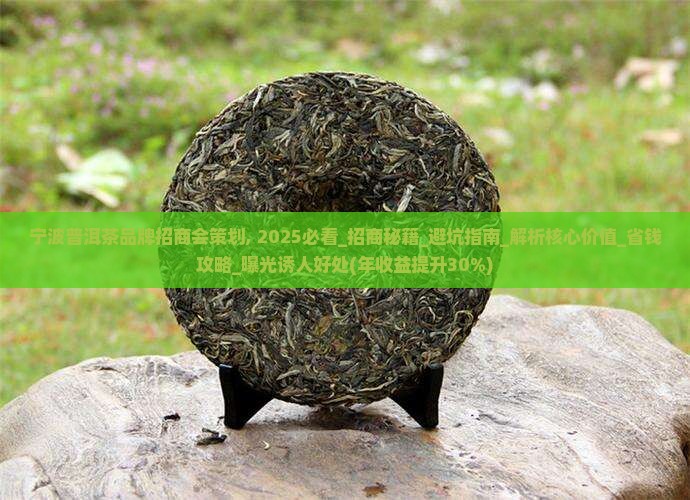 宁波普洱茶品牌招商会策划