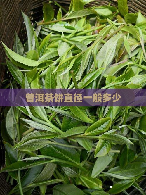 普洱茶饼直径一般多少