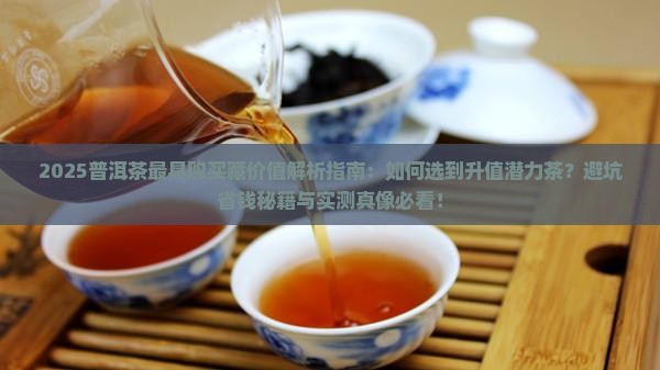 普洱茶最具购买藏价值