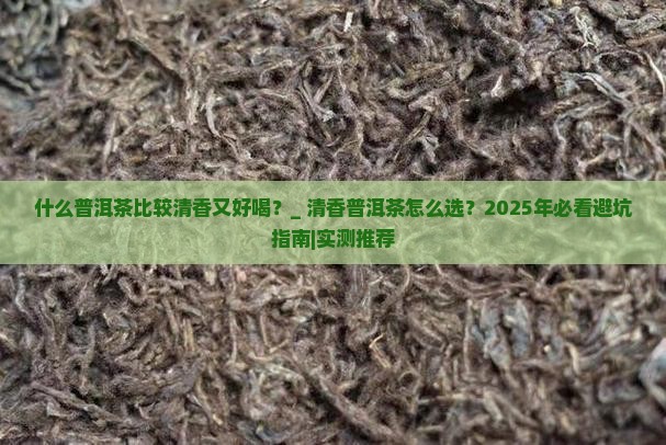 什么普洱茶比较清香又好喝