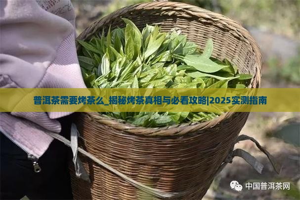 普洱茶需要烤茶么