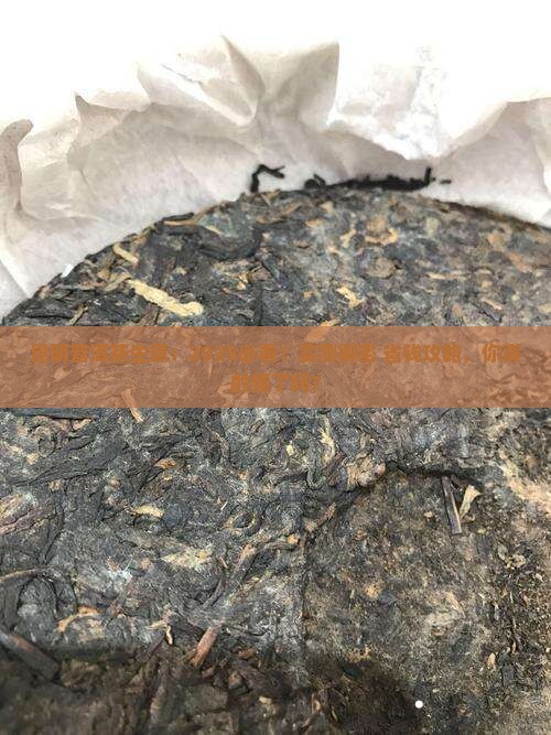 昆明普洱茶生意