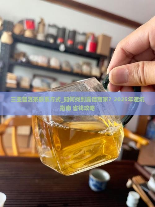 三亚普洱茶联系方式