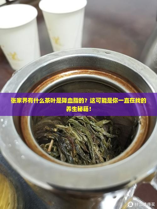 张家界有什么茶叶是降血脂的