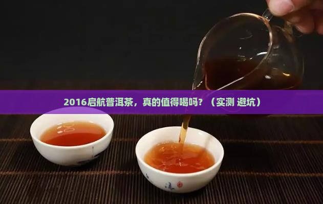 2016启航普洱茶