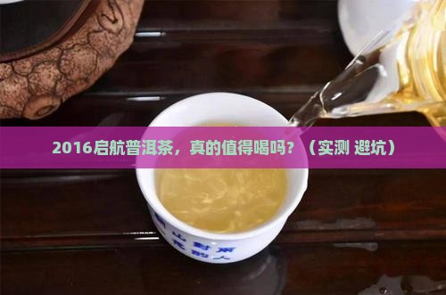 2016启航普洱茶