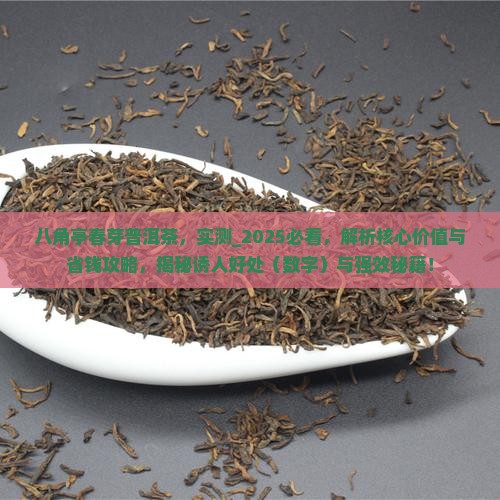 八角亭春芽普洱茶