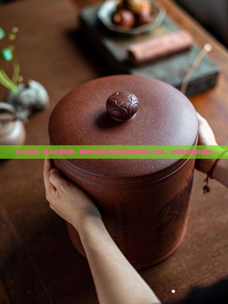 倚邦曼松古树普洱茶有什么特点
