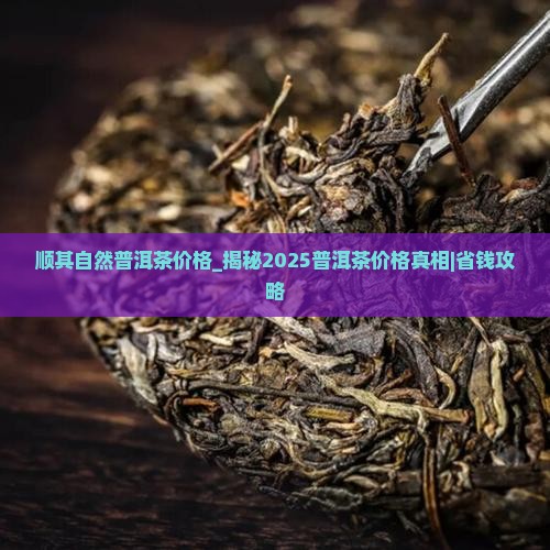 顺其自然普洱茶价格