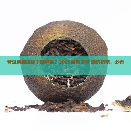 普洱茶属于哪种类