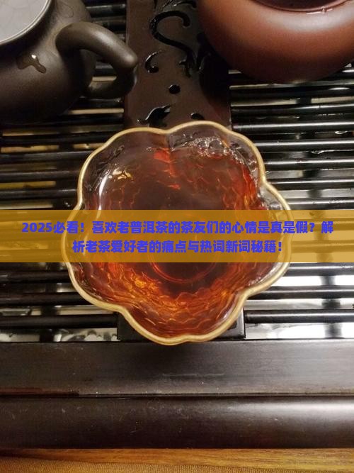 喜欢老普洱茶的茶友们的心情