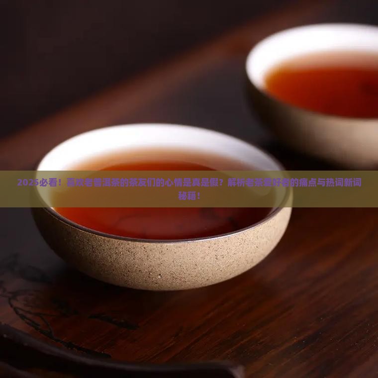 喜欢老普洱茶的茶友们的心情