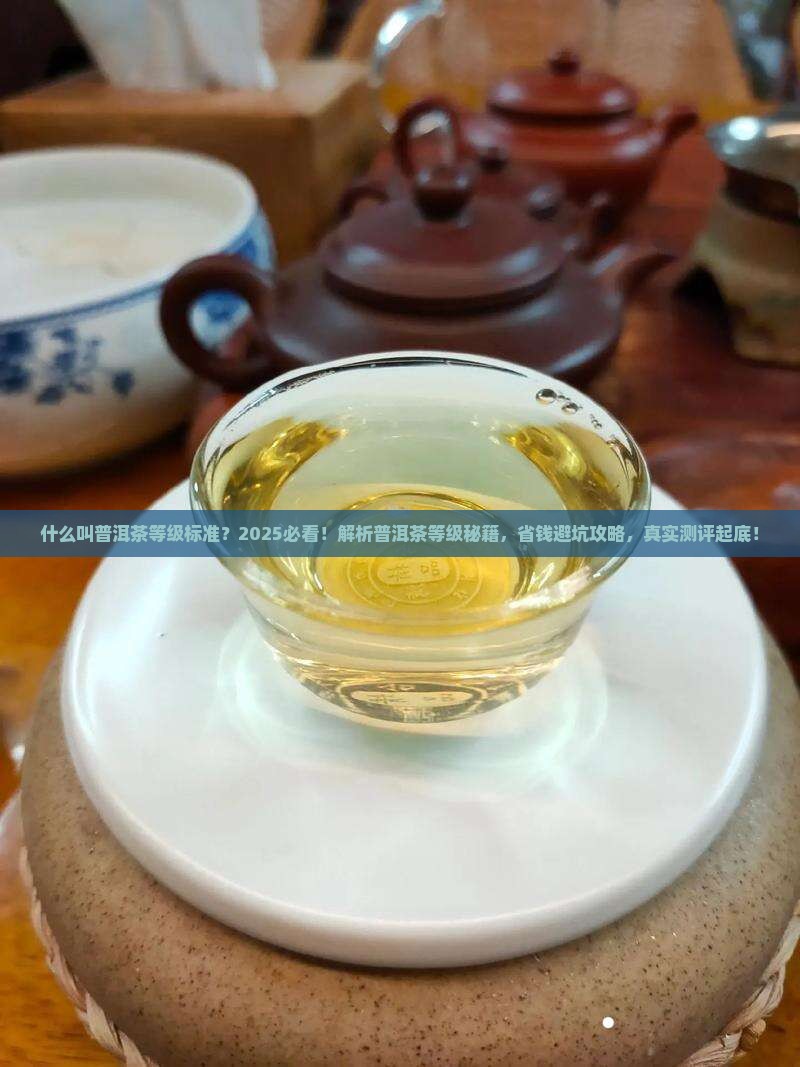 什么叫普洱茶等级标准
