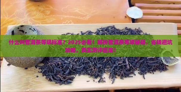 什么叫普洱茶等级标准