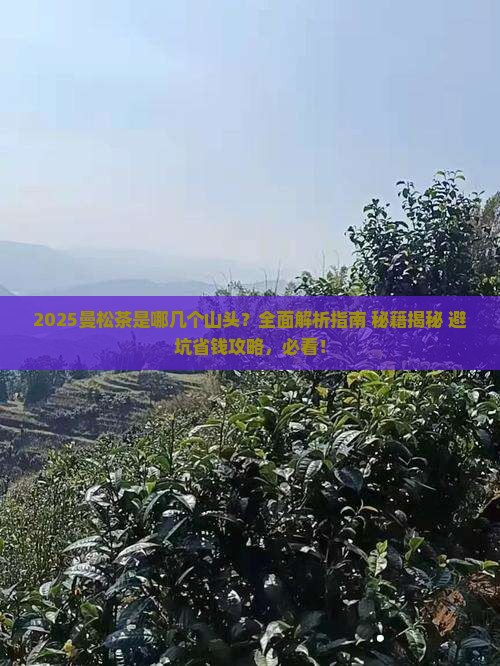 曼松茶是哪几个山头