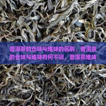 普洱茶的仓味与堆味
