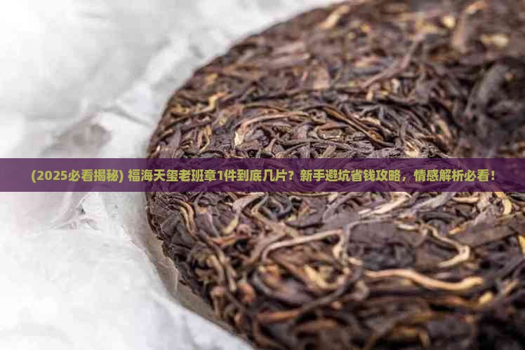 福海天玺老班章1件多少片