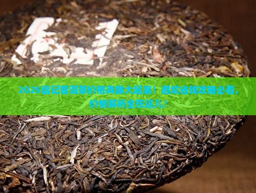 信记普洱茶价格表 信记普洱茶价格表